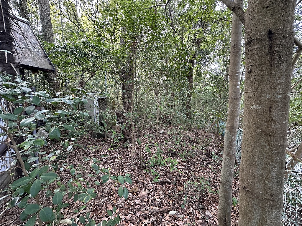 小豆郡土庄町大部