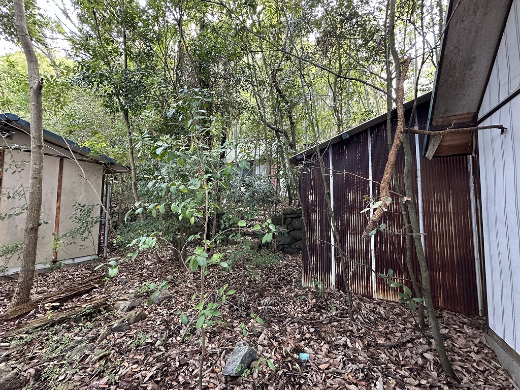 小豆郡土庄町大部