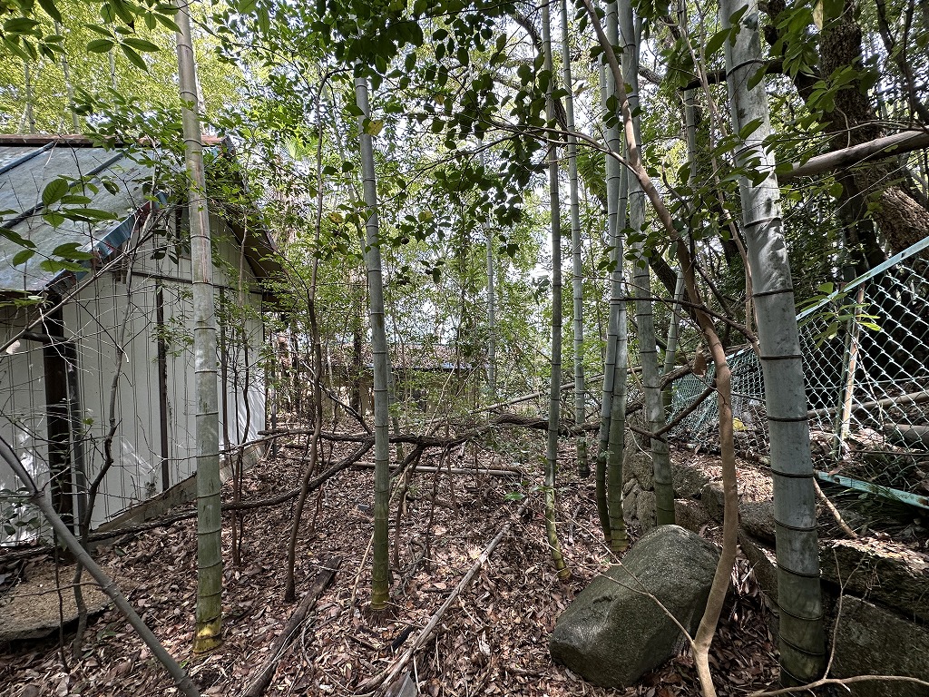 小豆郡土庄町大部