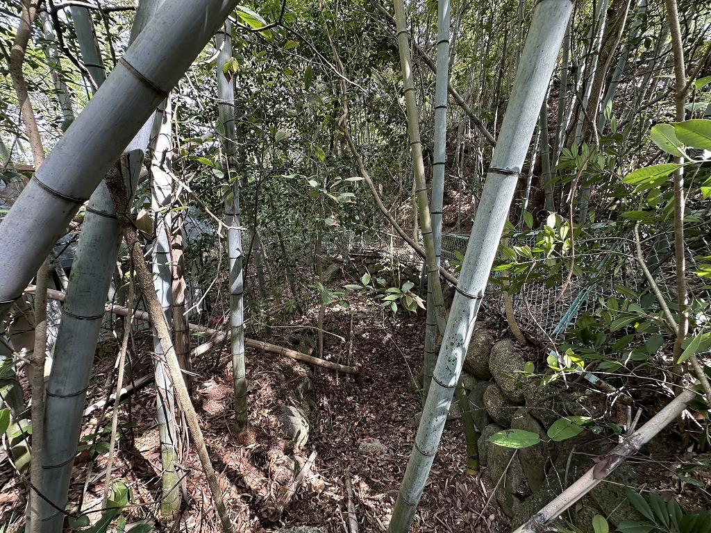 小豆郡土庄町大部