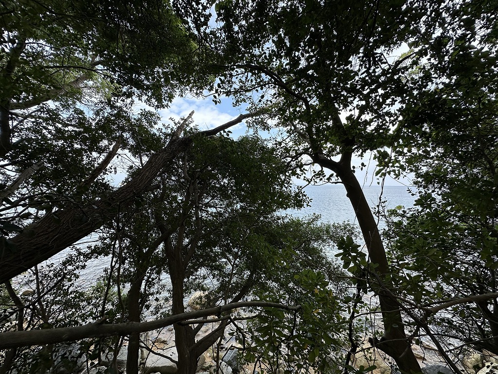 小豆郡土庄町大部