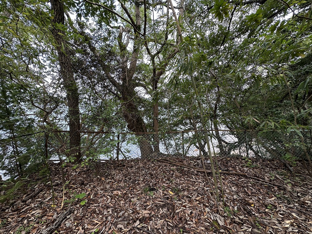 小豆郡土庄町大部